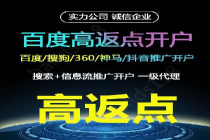 百度竞价广告投放策略：案例分析及效果评估